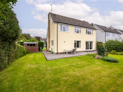 Picture 31